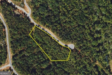 Lake Lot For Sale in Talking Rock, Georgia