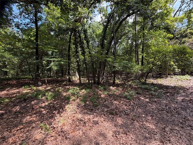 Lake Cypress Springs Lot For Sale in Scroggins Texas