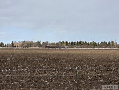 Rare opportunity to own ~ 232 acres of Southeast Idaho farmland - photo 7