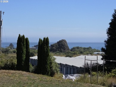Prime 1.41-acre commercially zoned opportunity on the beautiful - photo 3