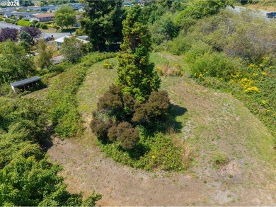 Prime 1.41-acre commercially zoned opportunity on the beautiful - photo 8