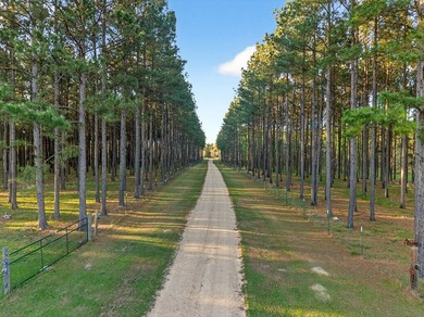 Welcome to your private retreat on beautiful sprawling acreage - photo 3