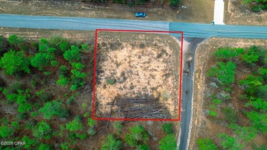 Blue Homestead Lake  Lot For Sale in Chipley Florida