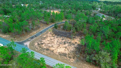 Corner lot available in the growing Sunny Hills community. This - photo 2