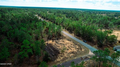 Corner lot available in the growing Sunny Hills community. This - photo 3