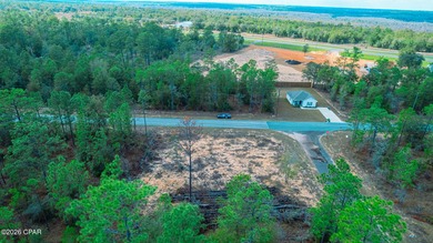 Corner lot available in the growing Sunny Hills community. This - photo 4