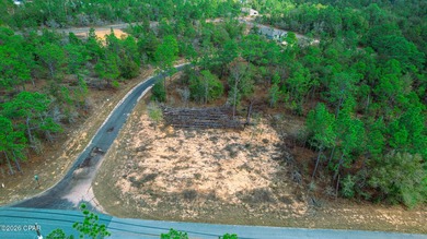 Corner lot available in the growing Sunny Hills community. This - photo 5