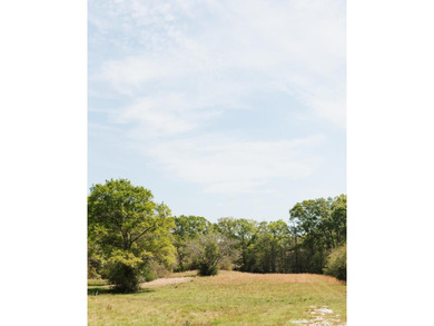 Beautiful 1.27 acre homesite offering a mix of open pasture and - photo 1