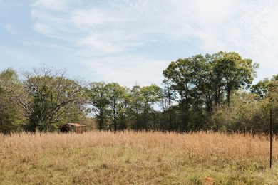 Beautiful 1.27 acre homesite offering a mix of open pasture and - photo 2