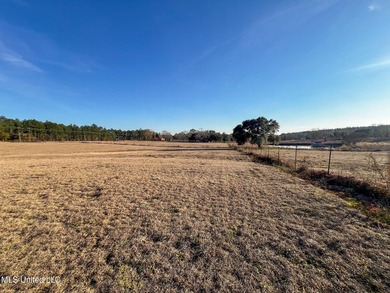 This prime real estate is a former cattle operation and is - photo 11