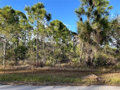 Build your dream home on this DOUBLE LOT located in fast - photo 2