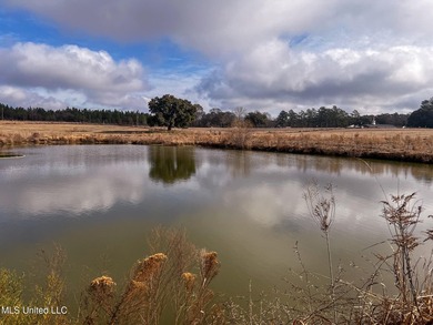This prime real estate is a former cattle operation and is - photo 17