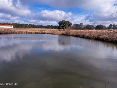 This prime real estate is a former cattle operation and is - photo 18
