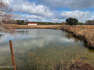 This prime real estate is a former cattle operation and is - photo 20