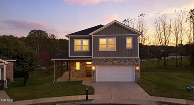 Patrick Henry Lake Home For Sale in Kingsport Tennessee