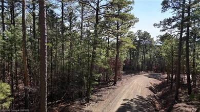 Located just north of Sardis Lake near Tuskahoma, this 3-acre - photo 4