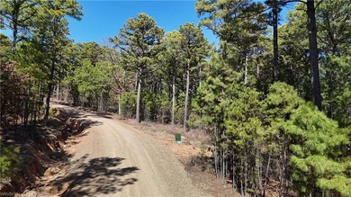 Located just north of Sardis Lake near Tuskahoma, this 3-acre - photo 6