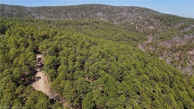 Located just north of Sardis Lake near Tuskahoma, this 3-acre - photo 7