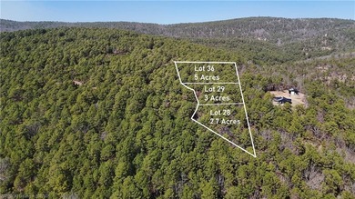 Located just north of Sardis Lake near Tuskahoma, this 3-acre - photo 9
