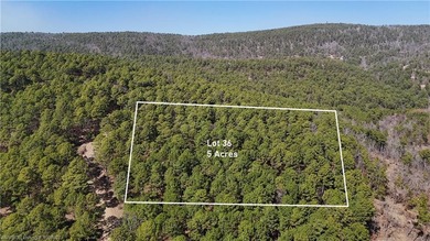 Kiamichi River Acreage For Sale in Tuskahoma Oklahoma