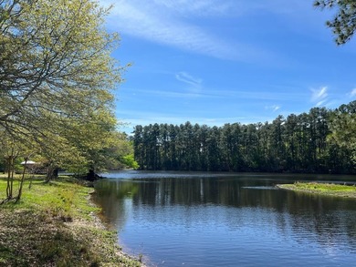 (private lake, pond, coastal) Acreage For Sale in Plantersville Texas
