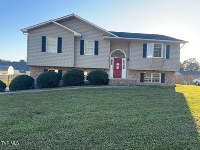 Holston River - Hawkins County Home Sale Pending in Mount Carmel Tennessee