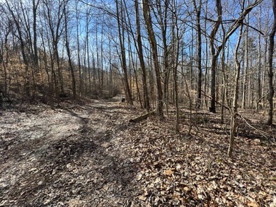 Nice wooded 1.25+/- acres with seasonal lakeview on Lake Barkley - photo 11