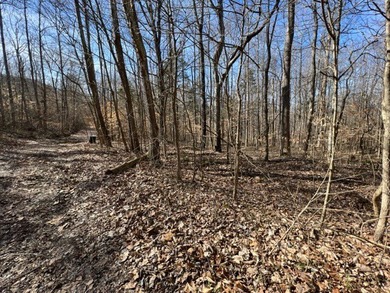Nice wooded 1.25+/- acres with seasonal lakeview on Lake Barkley - photo 12