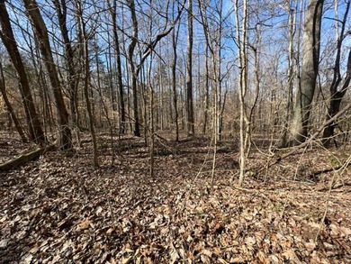 Nice wooded 1.25+/- acres with seasonal lakeview on Lake Barkley - photo 13