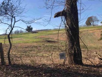 Cherokee Lake Lot For Sale in Morristown Tennessee