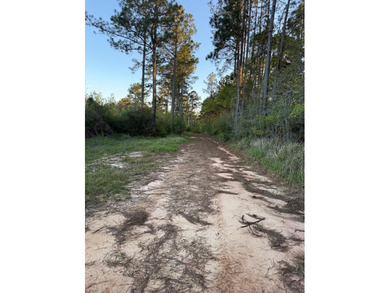 Come take a look at this beautiful 190 - acre tract of land in - photo 1