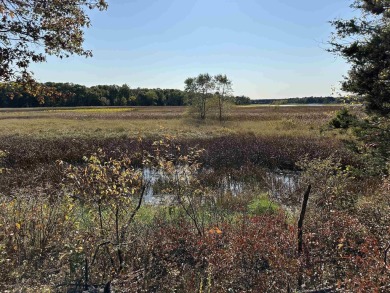 Lake Lot For Sale in Necedah, Wisconsin