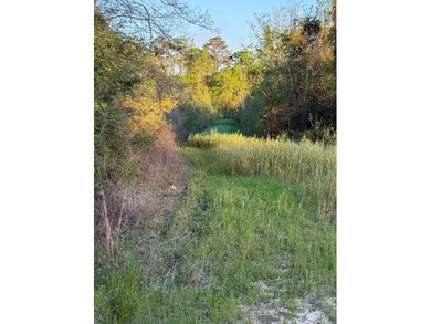 Come take a look at this beautiful 190 - acre tract of land in - photo 2