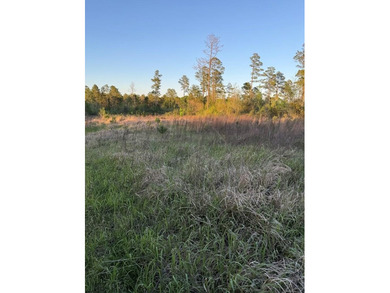 Come take a look at this beautiful 190 - acre tract of land in - photo 4