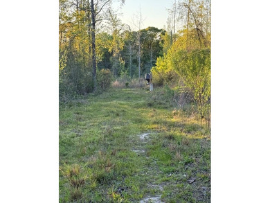 Come take a look at this beautiful 190 - acre tract of land in - photo 5