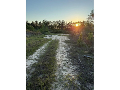 Come take a look at this beautiful 190 - acre tract of land in - photo 6