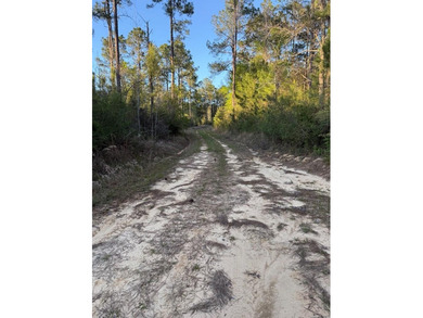 Come take a look at this beautiful 190 - acre tract of land in - photo 8