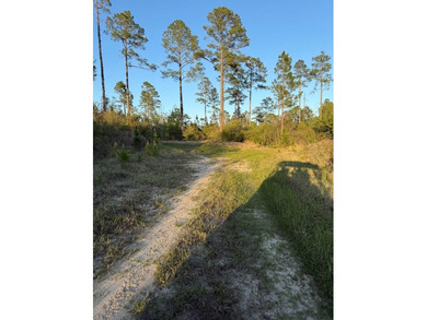 Come take a look at this beautiful 190 - acre tract of land in - photo 10