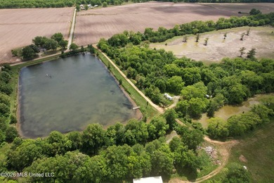 145+/- acres for sale in Coahoma County, located on Jenkins Road - photo 13