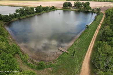 145+/- acres for sale in Coahoma County, located on Jenkins Road - photo 15