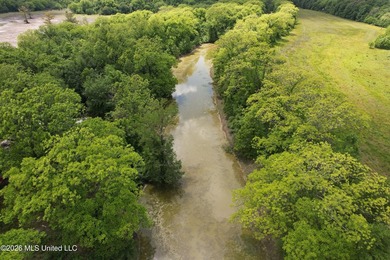 145+/- acres for sale in Coahoma County, located on Jenkins Road - photo 16
