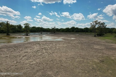 145+/- acres for sale in Coahoma County, located on Jenkins Road - photo 18