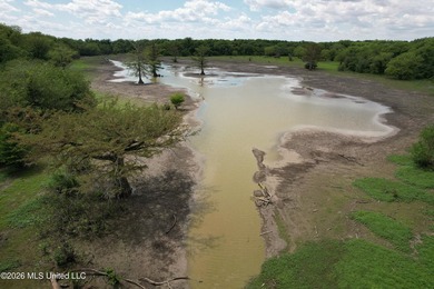 145+/- acres for sale in Coahoma County, located on Jenkins Road - photo 19