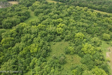145+/- acres for sale in Coahoma County, located on Jenkins Road - photo 22