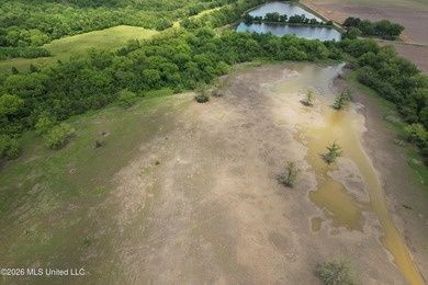 145+/- acres for sale in Coahoma County, located on Jenkins Road - photo 23