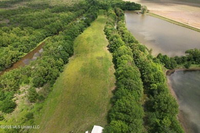 145+/- acres for sale in Coahoma County, located on Jenkins Road - photo 24