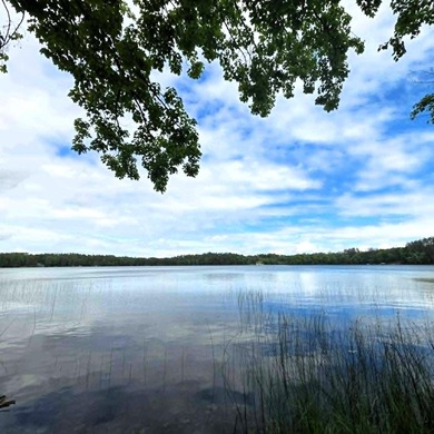 Beautiful Lakefront Ranch home on all-sport Ess Lake! Located on - photo 27