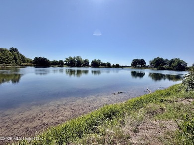 145+/- acres for sale in Coahoma County, located on Jenkins Road - photo 28