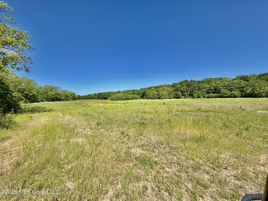 145+/- acres for sale in Coahoma County, located on Jenkins Road - photo 30