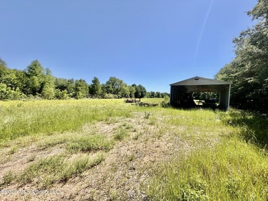 145+/- acres for sale in Coahoma County, located on Jenkins Road - photo 31